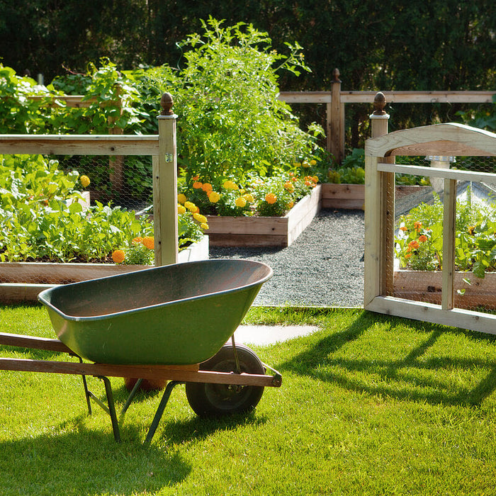 Spring Gardening Guide: Start Your New Year’s Gardening Life with Wooden Garden Planters