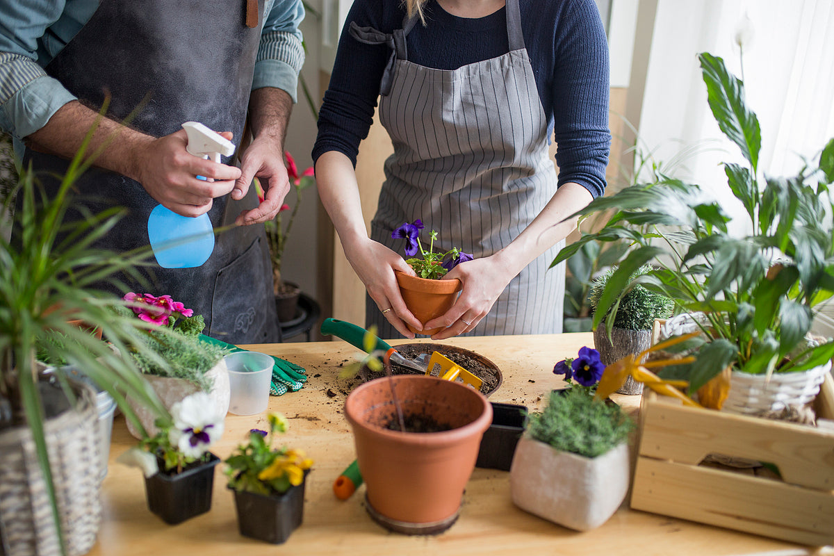 A Gentle Start to Spring: Why a Garden Potting Bench Belongs in Every Garden