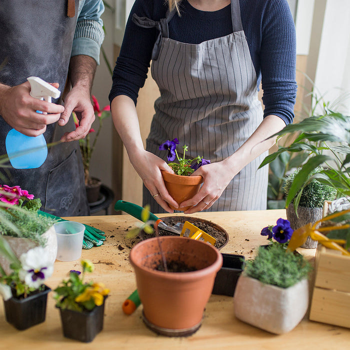 A Gentle Start to Spring: Why a Garden Potting Bench Belongs in Every Garden