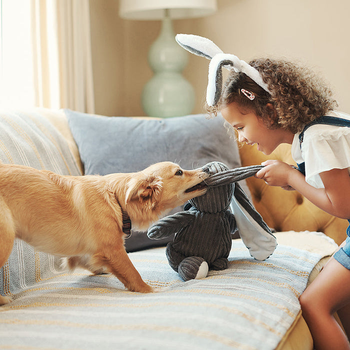 Happy Pup, Happy You: The Magic of Dog Playpens