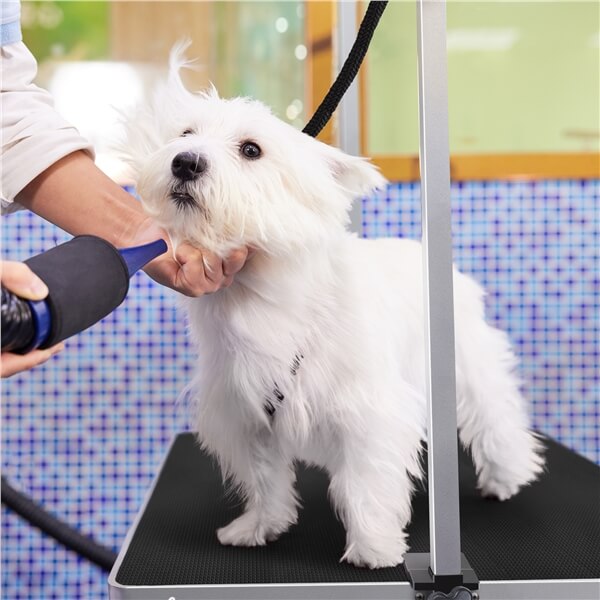 Yaheetech 46'' Pet Grooming Table for Large Dogs