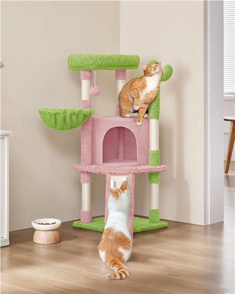 42″ Height Cactus Cat Tree