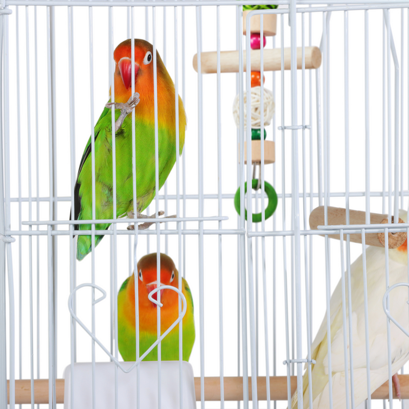 Yaheetech Large Roof Top Parrot/Bird Cage