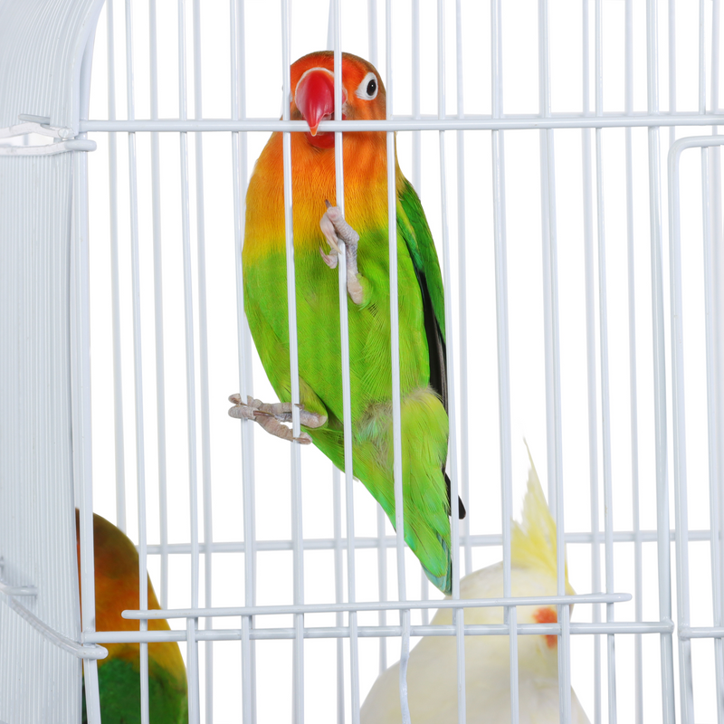 Yaheetech  64’’ H Open Top Metal Large Rolling Parrot Cage