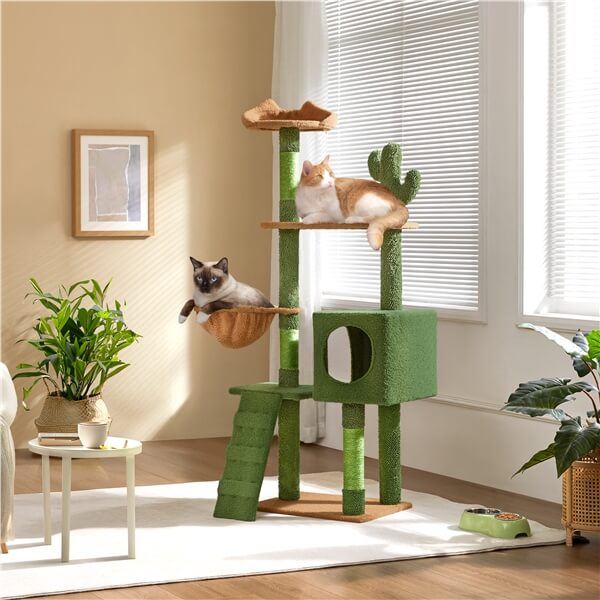 59.5″ H Cactus-Design Cat Tree for Indoor Cats
