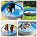 big dog pool