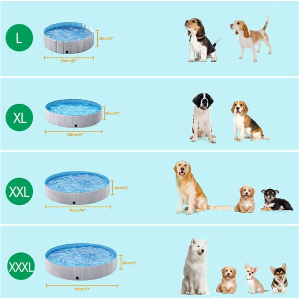 deep dog pool