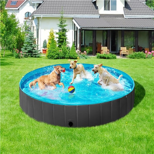 big dog swimming pool