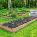 raised garden beds for sale