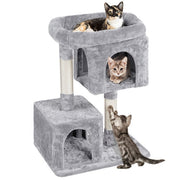 cat tree