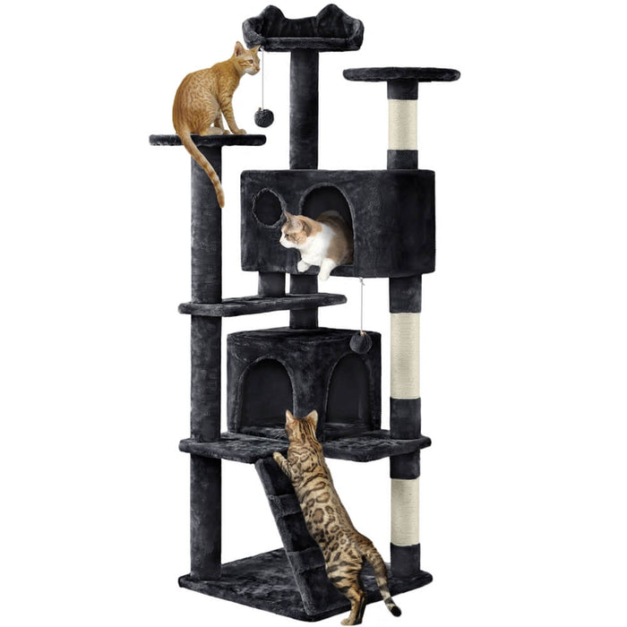 cat tree