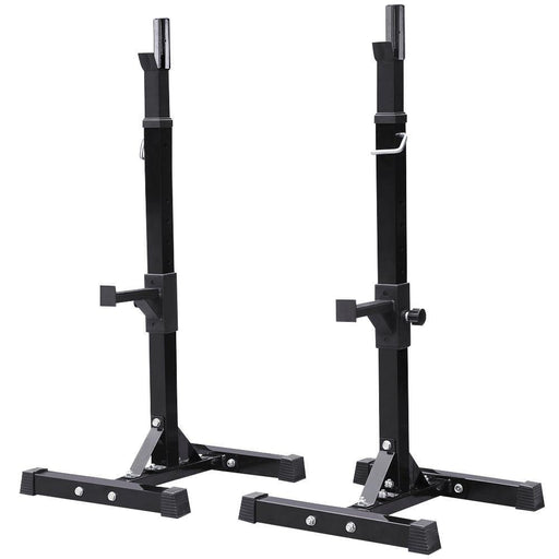 VirtuFit Halterschijfstandaard - 30 mm - Schijfstandaard VirtuFit Halterschijfstandaard - 30 mm - Schijfstandaard